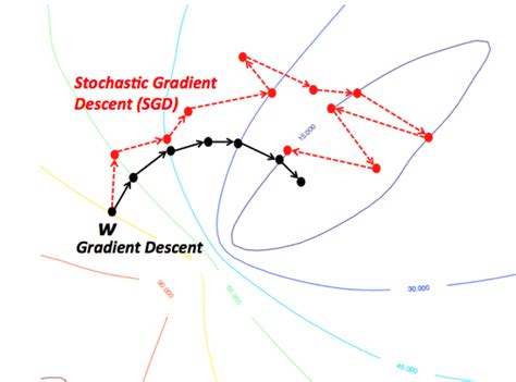Stochastic and batch gradient descent
