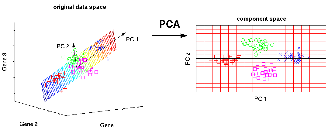 frameless,PCA dimensionality reduction